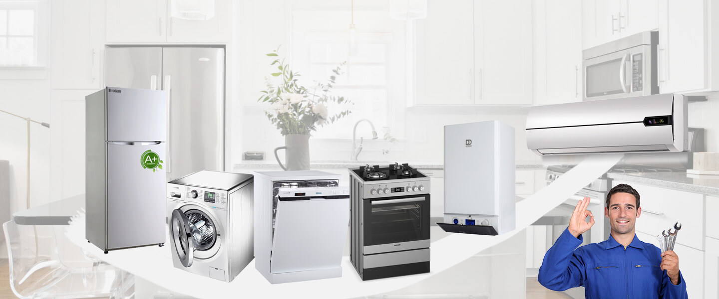 Yığılca Smeg Servisi